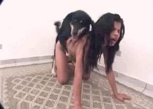 Kinky dog fucking on cam