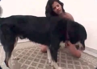 Kinky dog fucking on cam