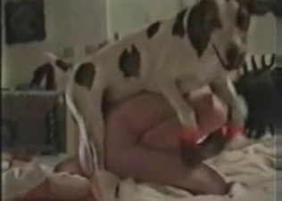 Hound fuckin her tasty twat