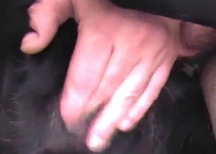Hard big cock for a black dog