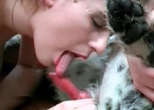 Hot sticky Dalmatian cum for her mouth