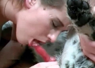 Hot sticky Dalmatian cum for her mouth