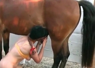 Hot chick gets two hung horses