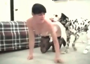 Zoophile chick and a Dalmatian