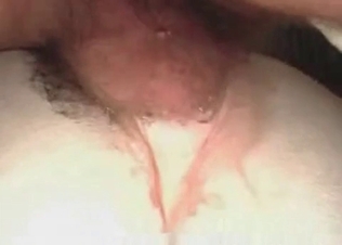 Close up view of a sexy horse asshole