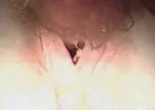 Close up view of a sexy horse asshole