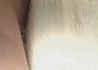 Close up view of a sexy horse asshole