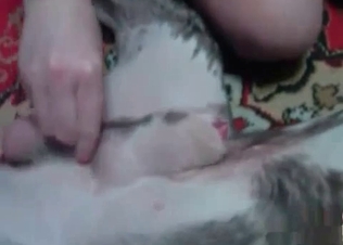 Dirty animal action caught on cam