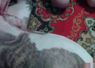 Dirty animal action caught on cam