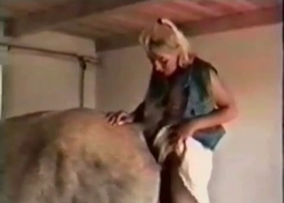This horse loves getting it up the ass