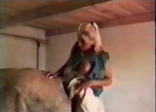 This horse loves getting it up the ass