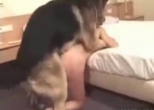 Tight pussy for a hungry shepherd
