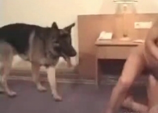 Tight pussy for a hungry shepherd