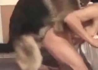 Tight pussy for a hungry shepherd