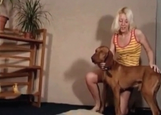 Dog gets fucked real rough