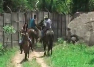 Horse cock destroying her ass