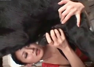 Asians being kinky with animals