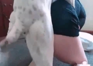 Dog fucking its brunette owner