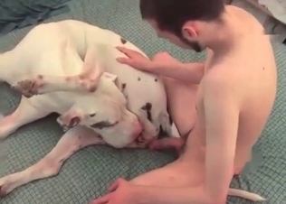 Anal sex for a big dog