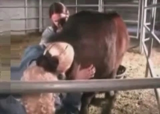 Teasing and drilling a pony