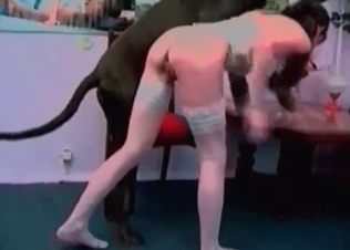 Trained dog fucking this tight chick