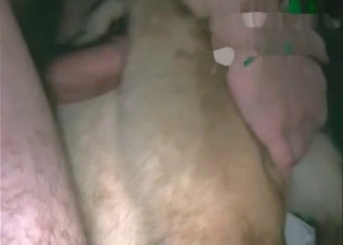 Intense fucking for a dog