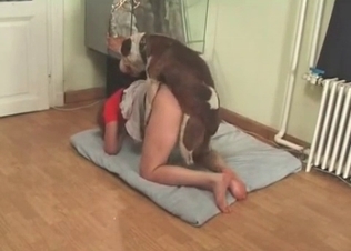 Dog licking pussy