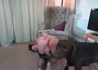 Trained doggie fucking its owner
