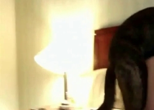 Moist pussy licked out by a dog