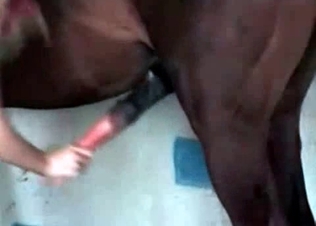 Big-dicked mare and a hot slut