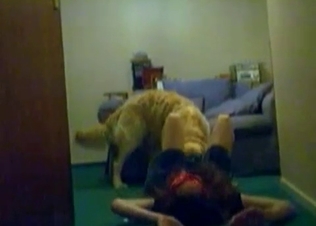 Incredible passion by a dog