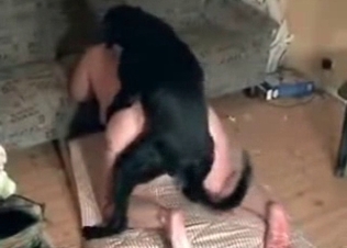 Incredible animal fucking