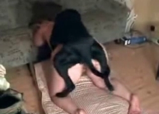 Incredible animal fucking