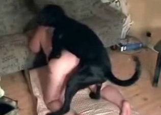 Incredible animal fucking