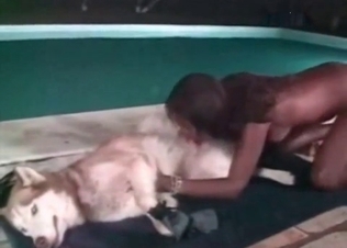 Black chick sucks this hot husky off