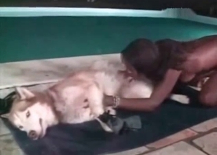Black chick sucks this hot husky off