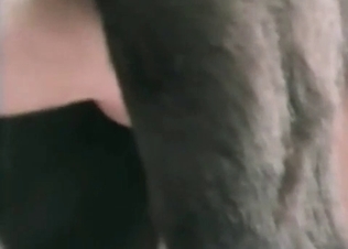 Ass to ass sensual action with a dog