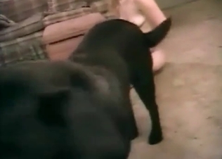 Ass to ass sensual action with a dog
