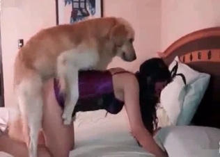 Dog gets stuck in her juicy pussy