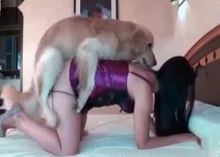 Dog gets stuck in her juicy pussy