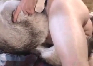 Ass-pounding for a cute husky