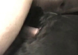 Big cock drilling that doggy asshole