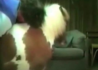 Pony gets it from behind