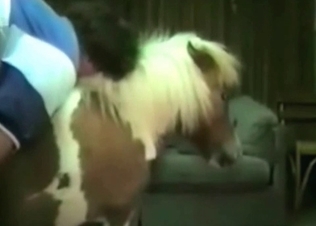 Pony gets it from behind