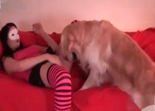Animal slut fucks a dog