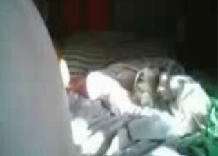 Puppy being fucking her good