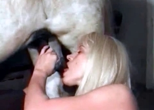 Horse cock blown by a stacked blonde