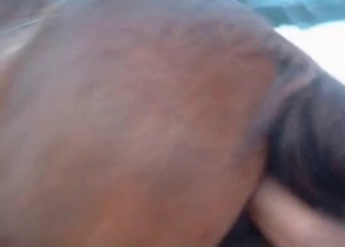Hot stallion fucking on cam