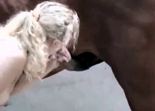 Horny horse getting pleasured