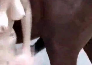 Horny horse getting pleasured